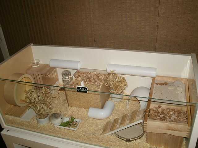 habitat hamster